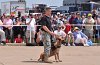 K-9 DSC_7837.jpg